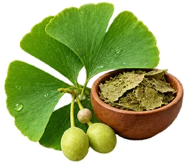 PressioMax — extracto de ginkgo biloba