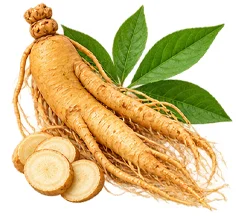 PressioMax — extracto de ginseng