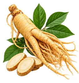 PressioMax — vitamina C